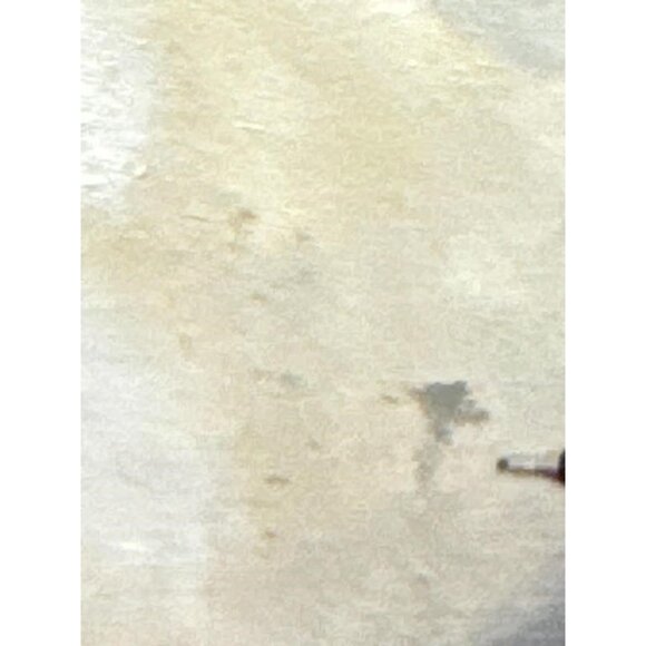 Sally B Hooff Acrylic on Board Painting Original Signed PEI Artist Artwork - Picture 3 of 3